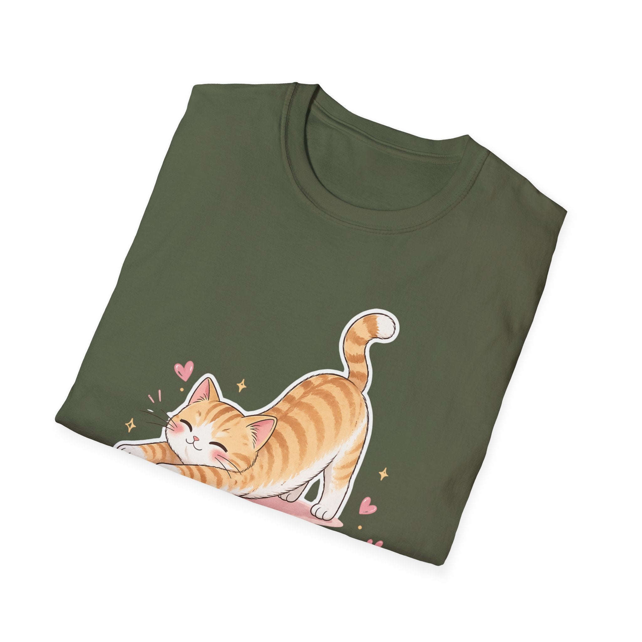 The truth about stoplosses Unisex Softstyle T-Shirt