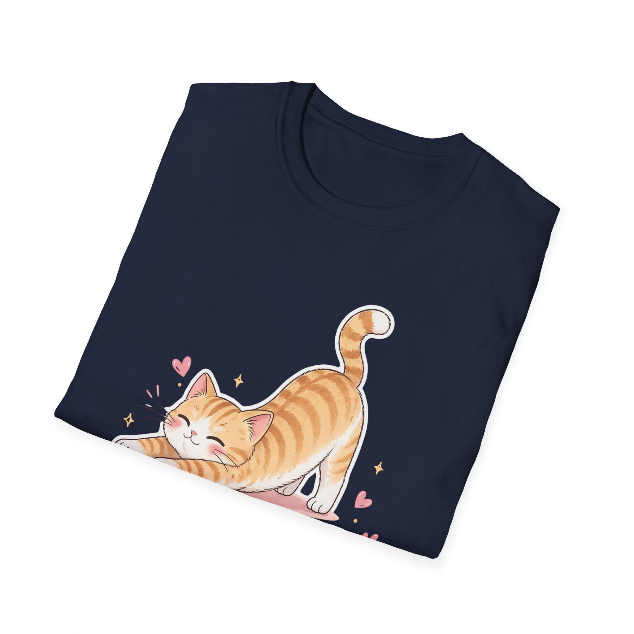 The truth about stoplosses Unisex Softstyle T-Shirt