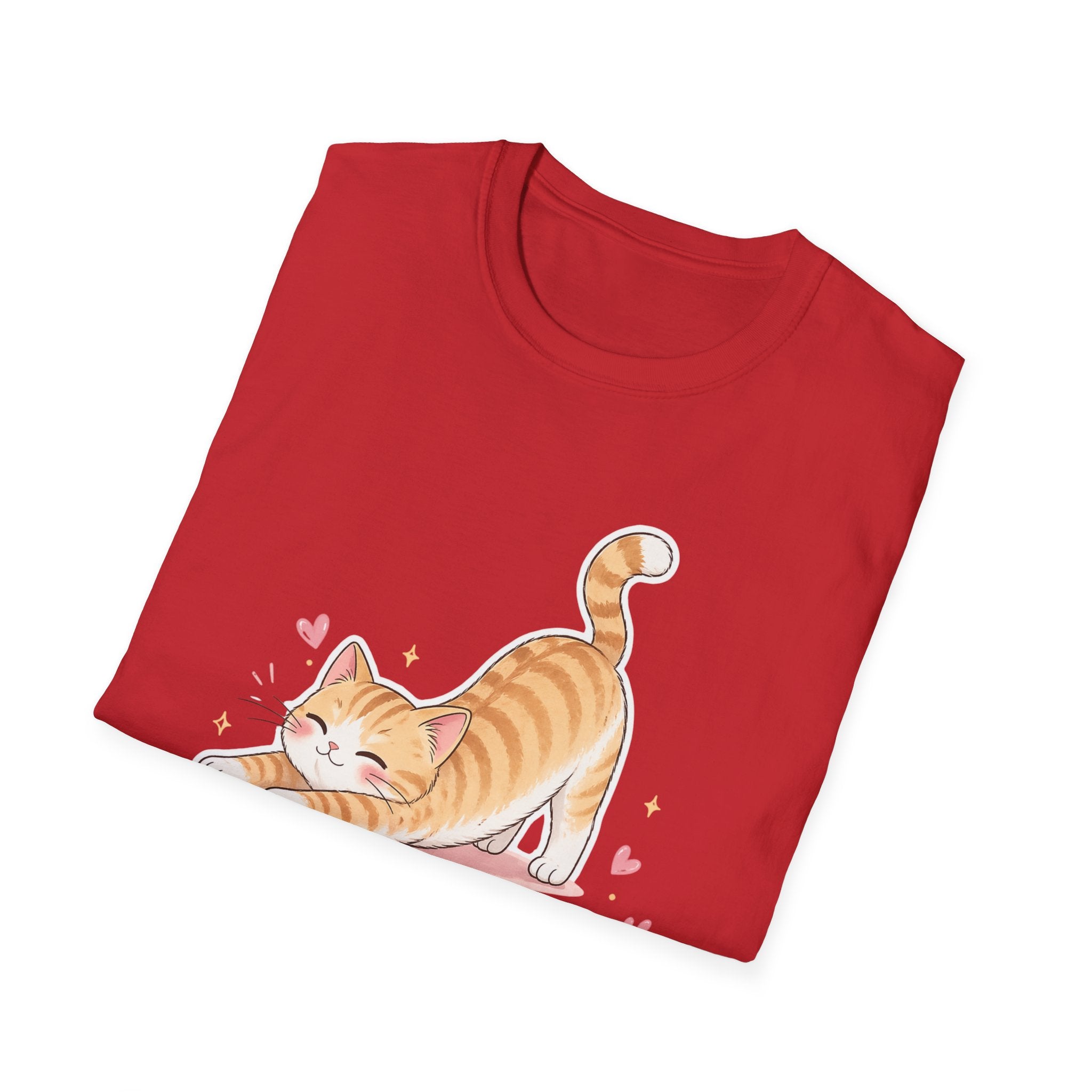 The truth about stoplosses Unisex Softstyle T-Shirt