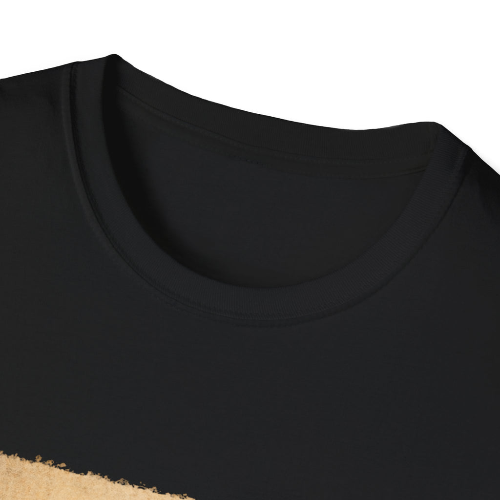 Take screenshots Unisex Softstyle T-Shirt