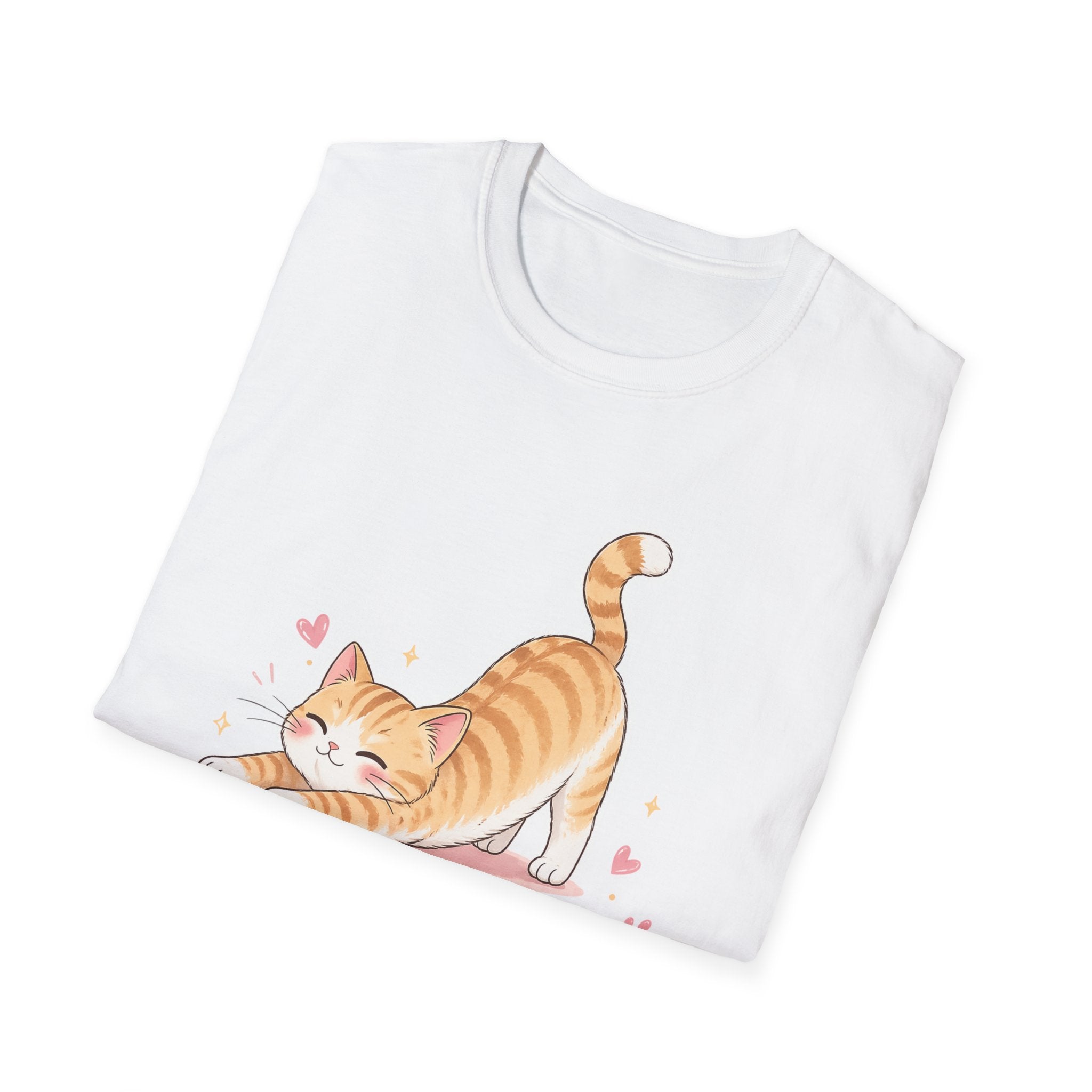 The truth about stoplosses Unisex Softstyle T-Shirt