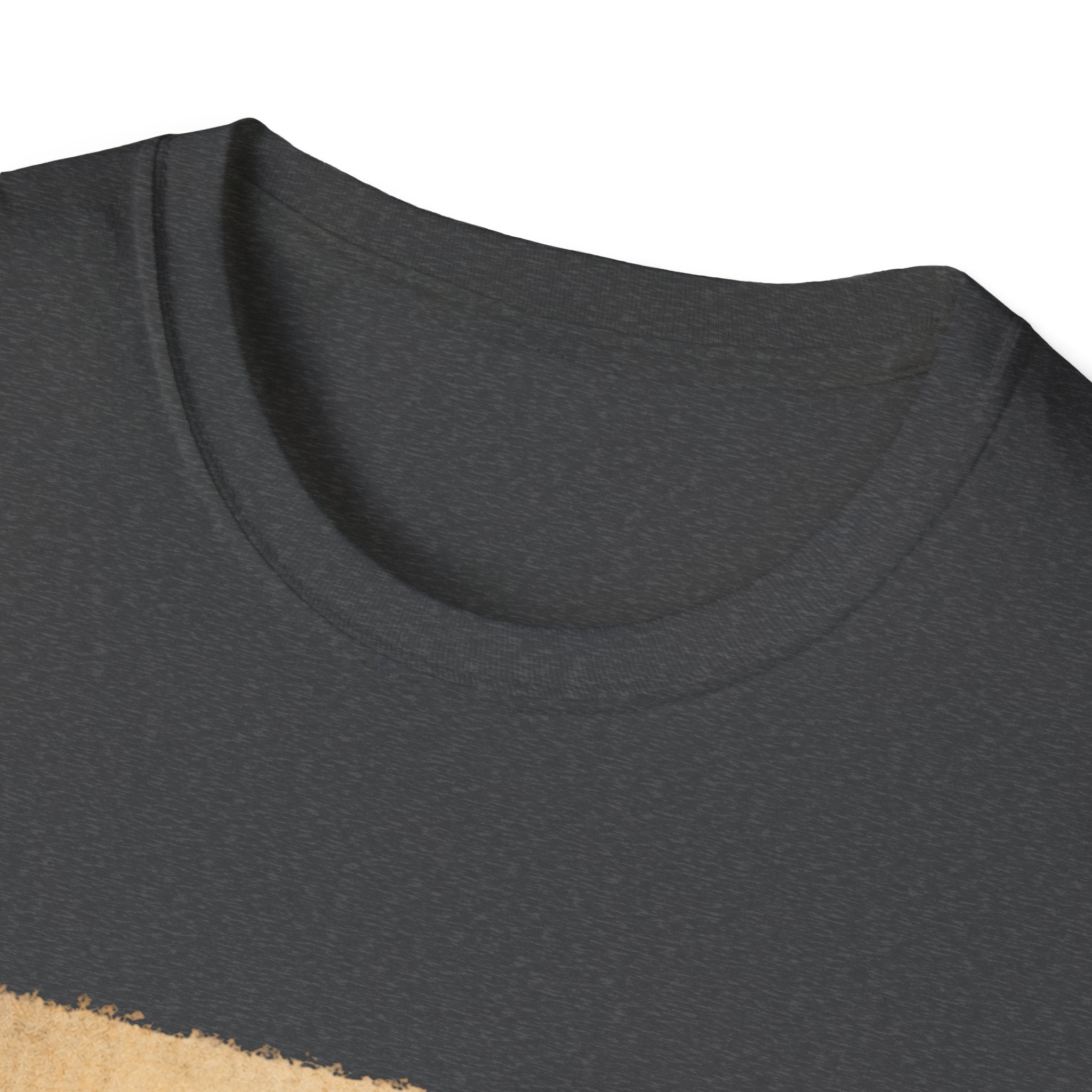 Take screenshots Unisex Softstyle T-Shirt