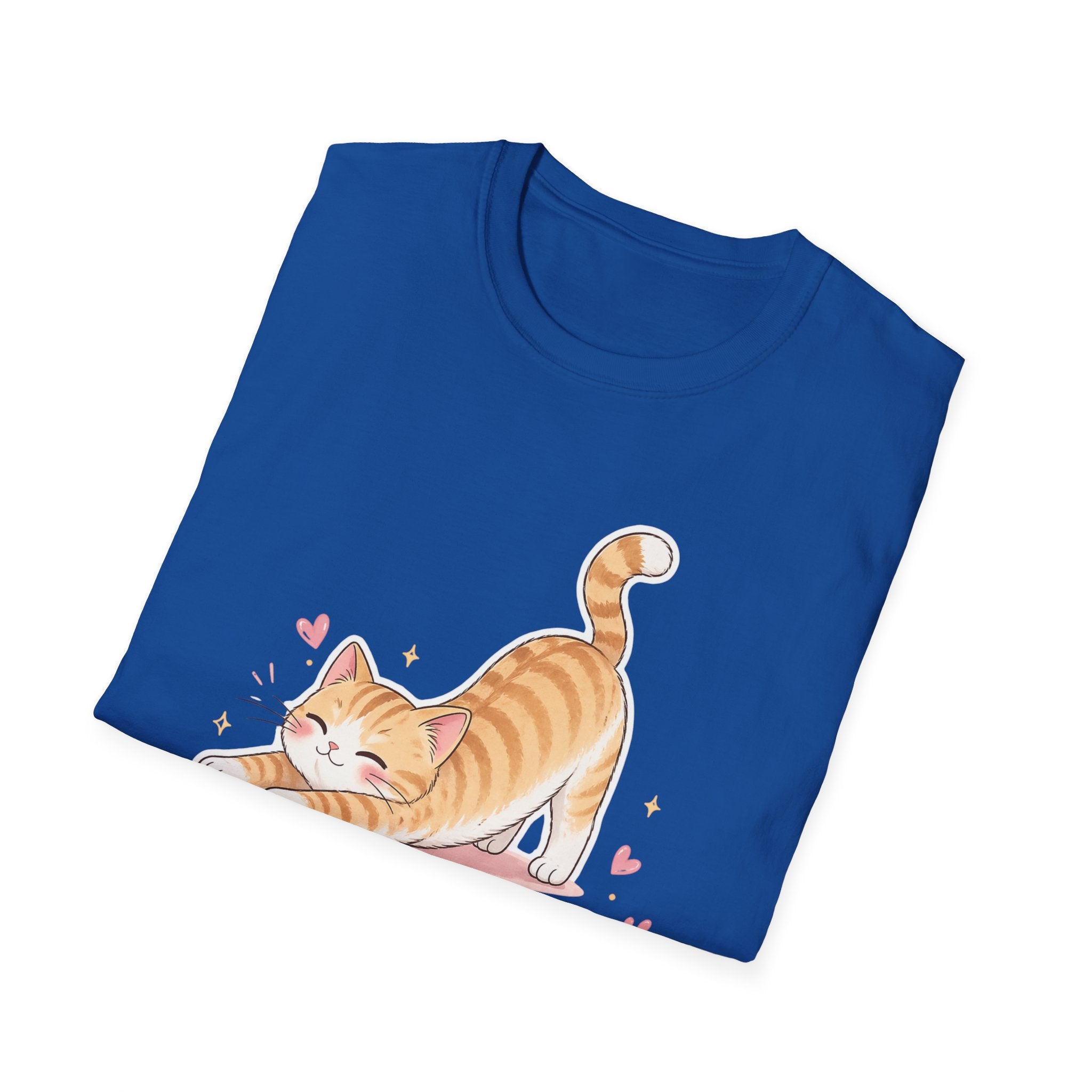 The truth about stoplosses Unisex Softstyle T-Shirt